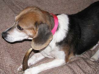 Lillian