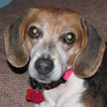 Lillian