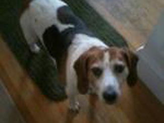 Bailey