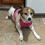 Heidi