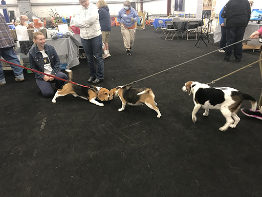 18th Annual Beagle Bash