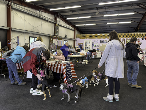 22nd Annual Beagle Bash
