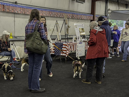 22nd Annual Beagle Bash