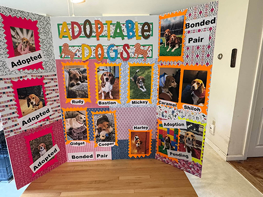 22nd Annual Beagle Bash