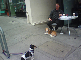 Hudson's Chronicles - December 2009