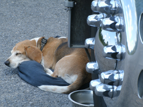 Hudson's Chronicles - October 2010