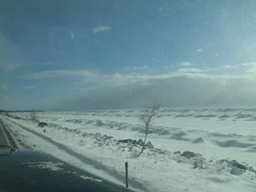Hudson's Chronicles - February 2011