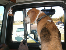 Hudson's Chronicles - March 2011