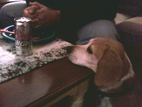 Hudson's Chronicles - Christmas 2011