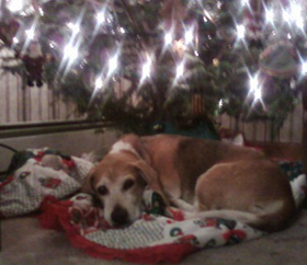 Hudson's Chronicles - Christmas 2011