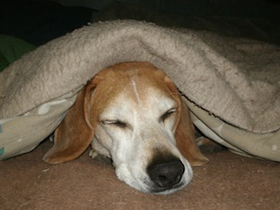 Hudson's Chronicles - February 2012