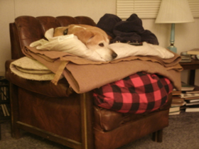 Hudson's Chronicles - March, 2013