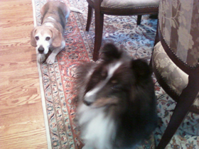 Hudson's Chronicles - January, 2014