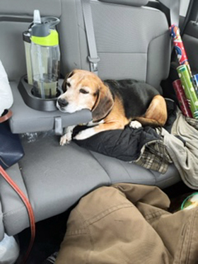 Mackey in the Cab - February, 2022