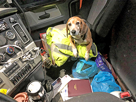 Mackey in the Cab - March, 2022