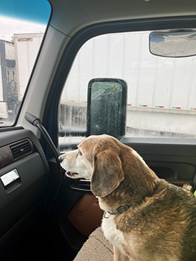 Mackey in the Cab - April, 2026