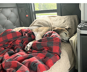 Mackey in the Cab - May, 2026