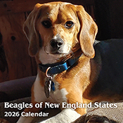 2027 Beagle Calendar Contest - Time to Vote!