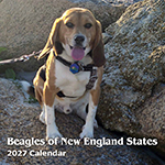 2027 Calendar - Pre-Order Special! 2027 Calendar - Pre-Order Special!