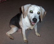 Angel (Baby Girl)