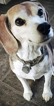 Lucy (Merchan)