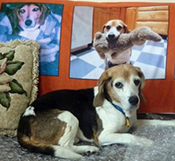 Roscoe
