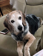 Remington
