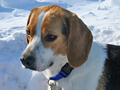 Charlie